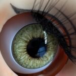 14mm Blythe Eye Chip from artist Kendra Gilbert